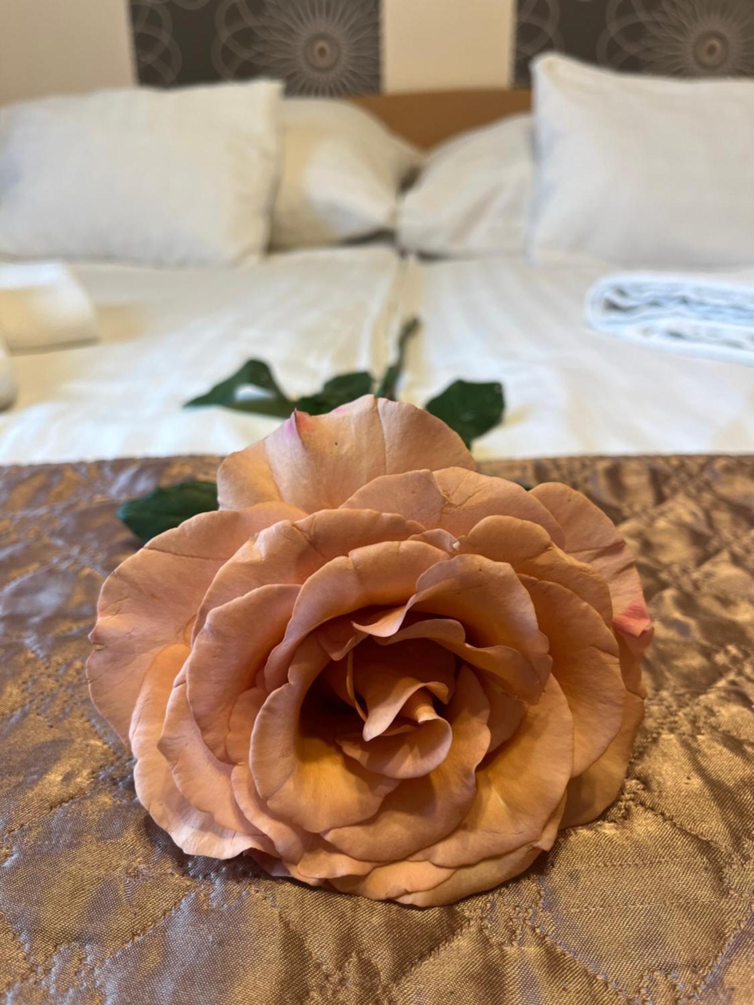 Hotel Rose City บูดาเปสต์ ภายนอก รูปภาพ